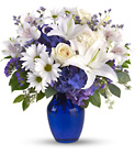 Beautiful in Blue from Roses and More Florist in Dallas, TX